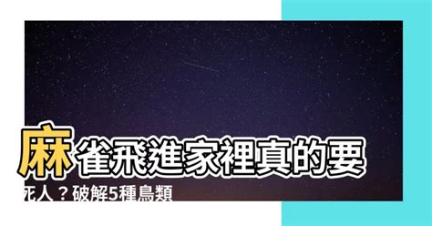 麻雀飛進家裡號碼|【家裡飛進麻雀】家裡飛進麻雀的吉凶預兆：小心謹慎，福禍難測。